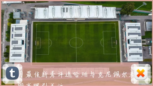 月最佳新秀评选哈珀与克尼佩尔表现亮眼引关注