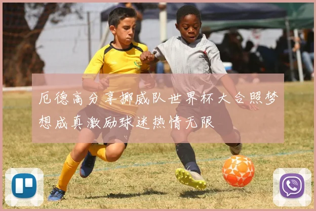 厄德高分享挪威队世界杯大合照梦想成真激励球迷热情无限