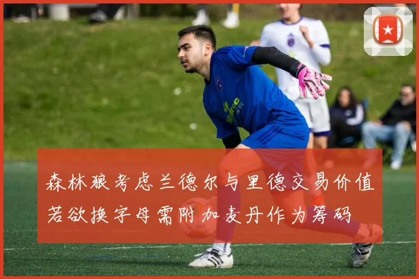 森林狼考虑兰德尔与里德交易价值若欲换字母需附加麦丹作为筹码